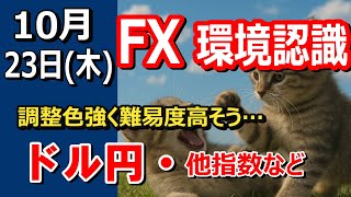 【TAKA FX】調整色強く難易度高そう…　ドル円他各通貨の環境認識解説。各種指数、GOLDなど　10月23日(木)