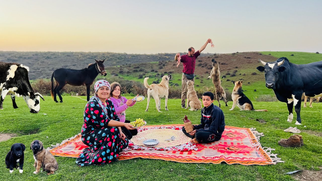 Setting Up the Tent and Getting Ready for the Beautiful Autumn Migration