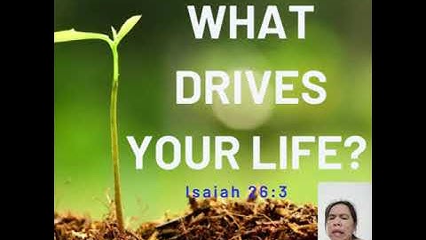 Purpose Driven Life Day 3 : What Drives Your Life