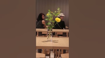 BlueBottleCoffeeの東海エリア2号店のオープン日にお邪魔しました #performancecreator#bluebottlecoffee#bluebottle#cafe#coffee