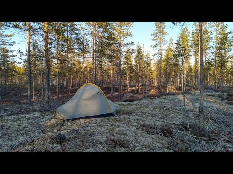 Video: Viisi Parasta Tulipaloa Ulkona Retkeilyyn