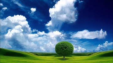 TheDumplingz - I Wish I Was A Tree [ Omnipony Dubstep Remix ]