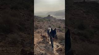 Wolfdogadventure - Morocco - Néo In Atlas Mountains