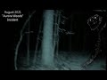 August 2021 "Aurora Woods" Incident (creepypasta)