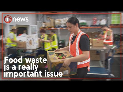 Kiwis urged to limit food waste this Christmas | 1News