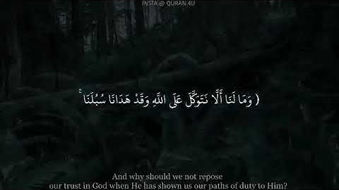 تلاوة فريدة من نوعها تدخل القلب بصوت الشيخ اسلام صبحي 😢😢❤️