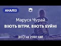 АНАЛІЗ ТВОРУ "Віють вітри, віють буйні" | ЗНО 2021 | ПІСНІ МАРУСІ ЧУРАЙ