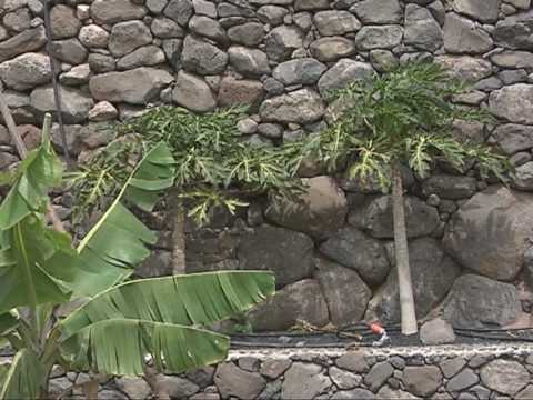 Lanzarote Retreats - Finca de Arrieta