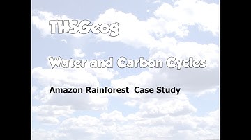 Water and Carbon Cycles - Amazon Case Study