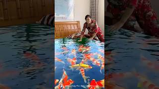 Fish Bed Sheetnewviral Gadgets,Smart Appliances,Kitchenutensilshome Inventions