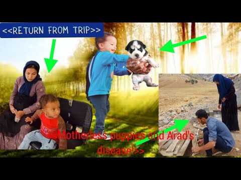 A bittersweet return from a trip, a motherless puppy, and Arad's battle with illness.!