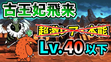 古王妃飛来 超激レアなし 本能なし レベル40以下で攻略 にゃんこ大戦争 