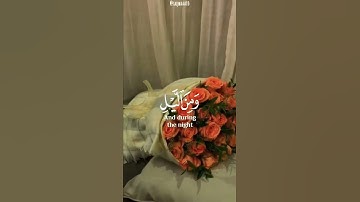 آيات بينات من الذكر الحكيم 🌺❤️