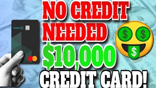 No Credit Check Up To 10000 Primary Tradeline Card For Building Personal Credit