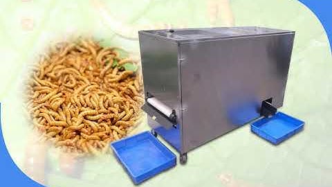 Mealworm & Tenebrio Molitor Separator/Sorting Machine | Commercial Mealworm Insects Sifter Machine
