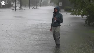Florence: Deer run through floodwater behind CBS News' Adriana Diaz