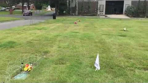 The Search for Robert Ellwood