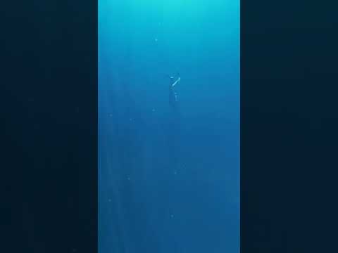 the deep blue - YouTube