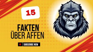 15 Faszinierende Fakten Über Affen, Die Du Garantiert Noch Nicht Kanntest
