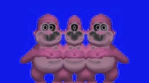 bonzi com is offline in g major 160