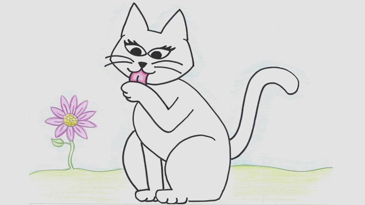 Um gato xadrez  Gato xadrez, Desenhos de instrumentos musicais, Historia  da educação infantil