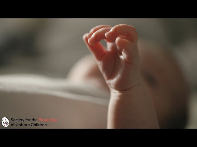 Life is under attack. Will you join us in the fight back? | SPUC Advert