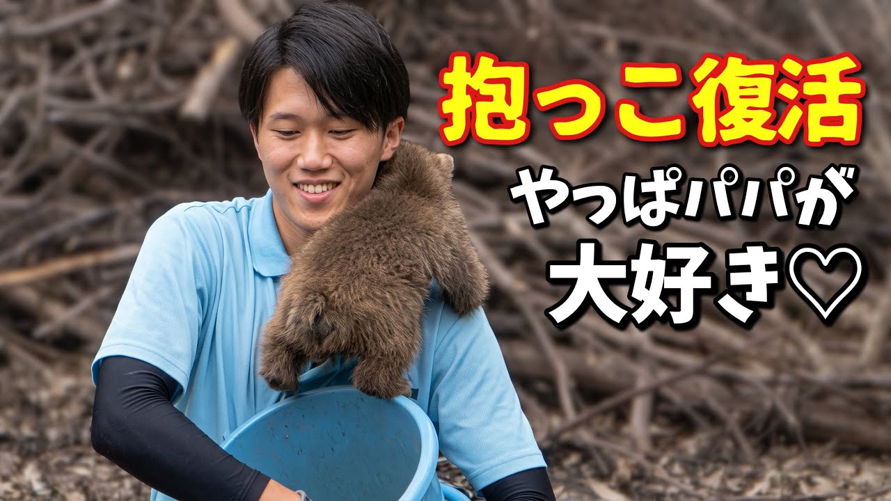 Chimp Escape!? Baby Punch Runs Out to Hug His Favorite Zoo Dad