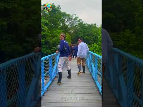 Principles Final Call For Nature Miguel Kamëntsá Camsá Colombia RightsofNature 