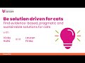 Be solution driven for cats - Vicky Halls talks to Lauren Finka