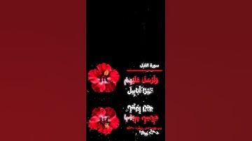 سوره الفيل #تلاوة_خاشعة #المصحف