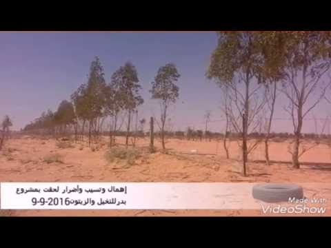 وكالة أنباء الصيعان المصدر الإخبارية