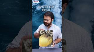 Puffer in Auction vs Puffer Fish 🐡 | Law Concept Simplified | Prof. Shubham Joshi