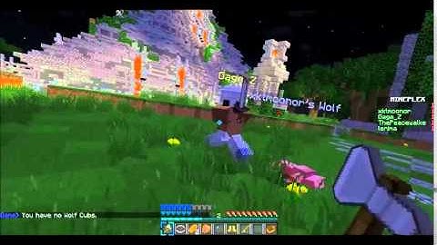 MINEPLEX HACKER BUSTED