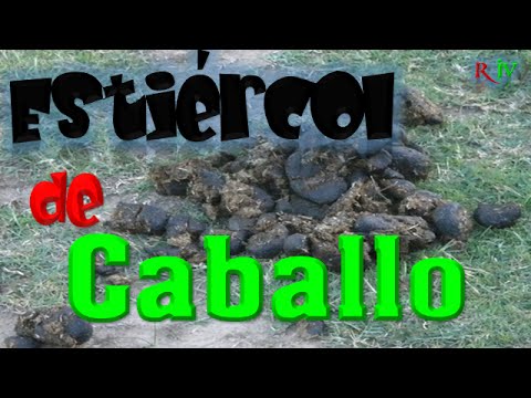 Video: ¿Qué edad debe tener el estiércol de caballo para el jardín?