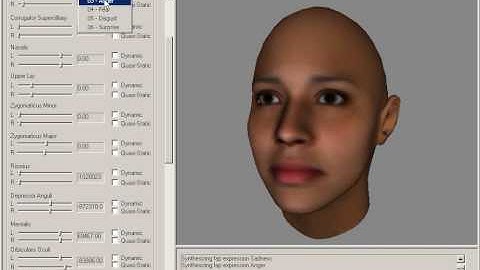 Physically Based Synthesis of Animatable Face Models - Expression Editor Tool