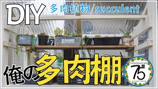 【多肉植物】見て見て！多肉棚をDIYしたよ！