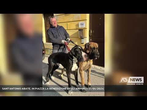 SANT'ANTONIO ABATE, IN PIAZZA LA BENEDIZIONE DEGLI ANIMALI | 17/01/2024