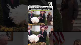 Watch Trump Unconditionally Pardons Turkey Gobble, Draws Laughter At White House