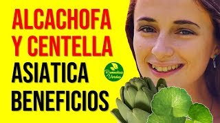 Alcachofa Con Centella Asiática Propiedades Y Beneficios