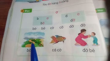 Tiếng viêt 1. Bài 9. ơ, dấu ngã. Sách kết nối tri thức với cuộc sống
