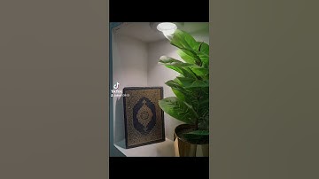 تلاوةخاشعة فضيلة الشيخ محمد السبيل رحمه الله تعالى