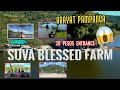 SUVA BLESSED FARM | ARAYAT PAMPANGA | 20 PESOS ENTRANCE SULIT