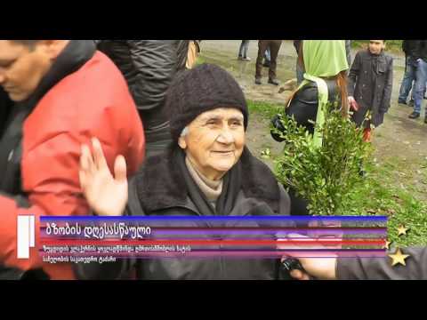 ბზობა (ზუგდიდი)