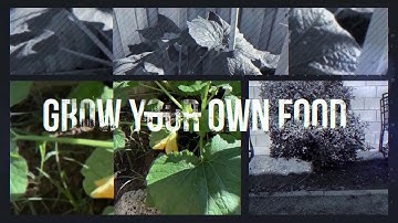 My 2020 Vision | Unclaimed Property | State of California | Betty T. Yee State Controller