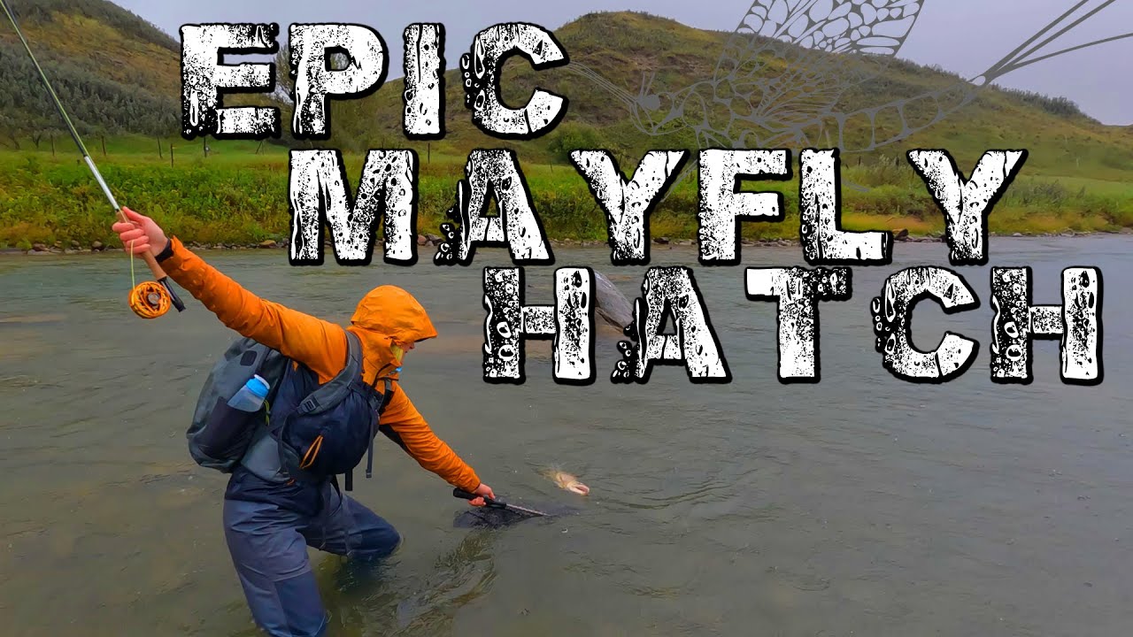 How We Do It EP 02: HOT SUMMER Weather Change & EPIC Mayfly Hatch