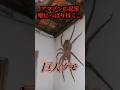 驚愕のデカさのあの生物が激撮される…#uma #未確認生物 #未確認生命体