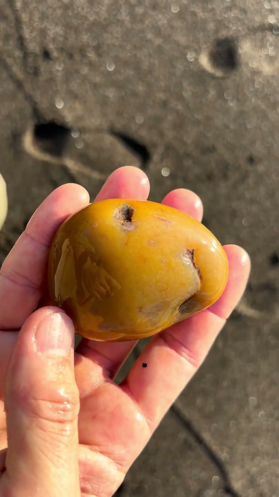 Beautiful Yellow Stone#shorts #stone #nature #ジャスパー #jasper
