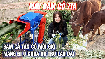 Máy Băm Cỏ 7TA Siêu Năng Suất Bình Quân Giúp Bà Con Xử Lý Cả Tấn Cỏ Mỗi Giờ