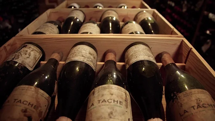 A Taste Thats Eternal  The Legendary Wines of Robert Drouhin