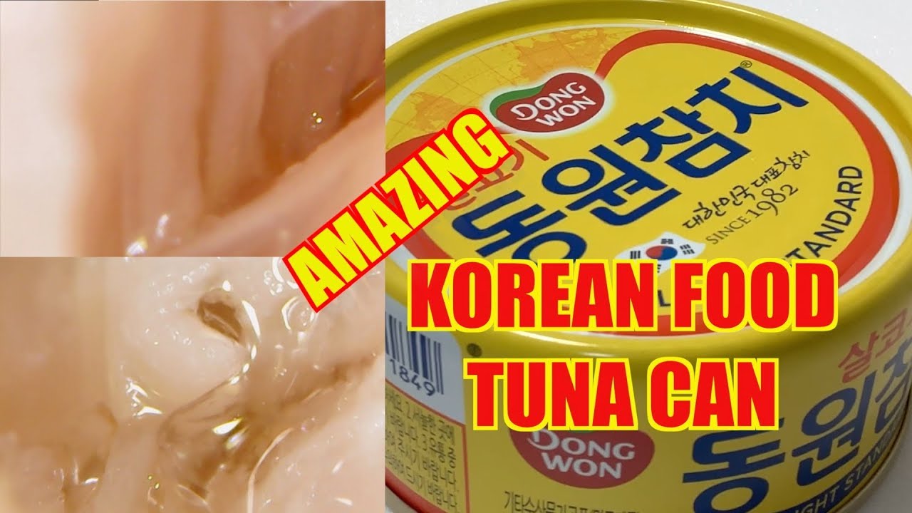 korean food Tuna CAN (microscope 1000X) YouTube